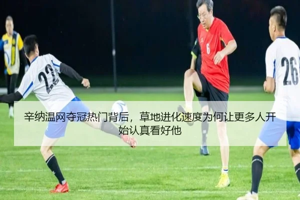 辛纳温网夺冠热门背后，草地进化速度为何让更多人开始认真看好他 - c7yule